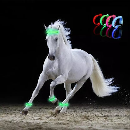 LED Lighting Horse Leg