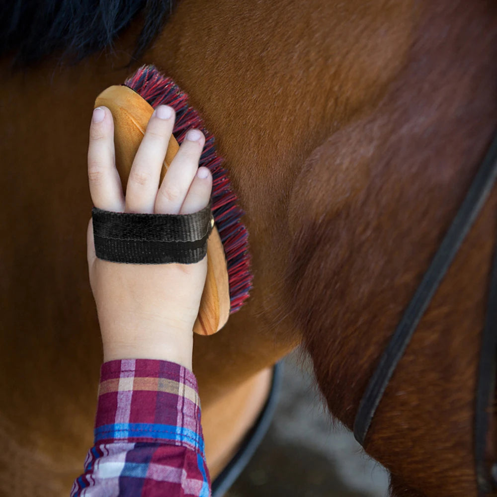 Horse Cleaning kit