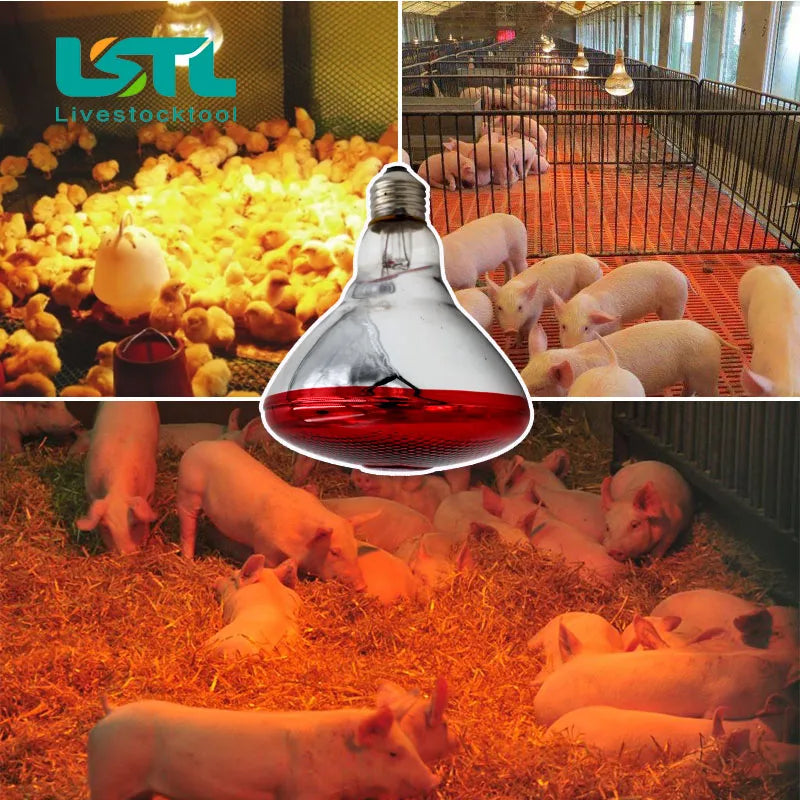 220V Livestock Animals Pet Heating Lamp Bulb Thermal Preservation Heat Infrared Ray for Reptile Amphibian Pet 100/150/200/275W