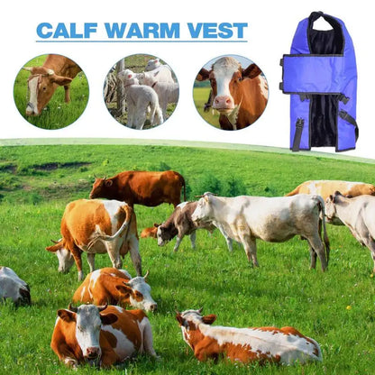 Calf Coats For Winter