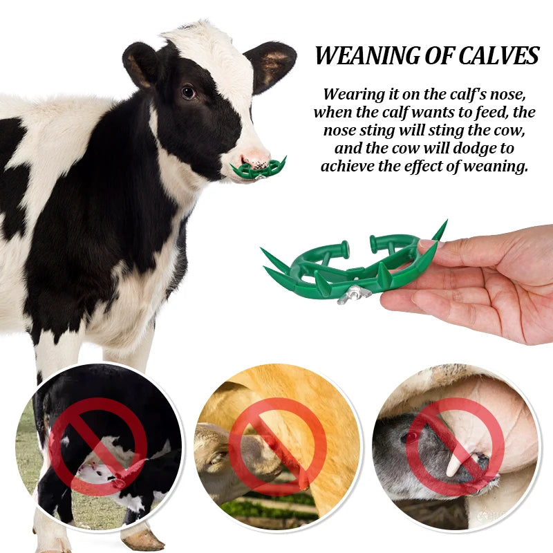 Calf Weaning  Nose Ring