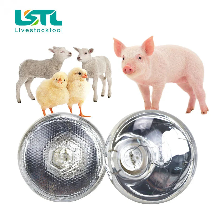 220V Livestock Animals Pet Heating Lamp Bulb Thermal Preservation Heat Infrared Ray for Reptile Amphibian Pet 100/150/200/275W