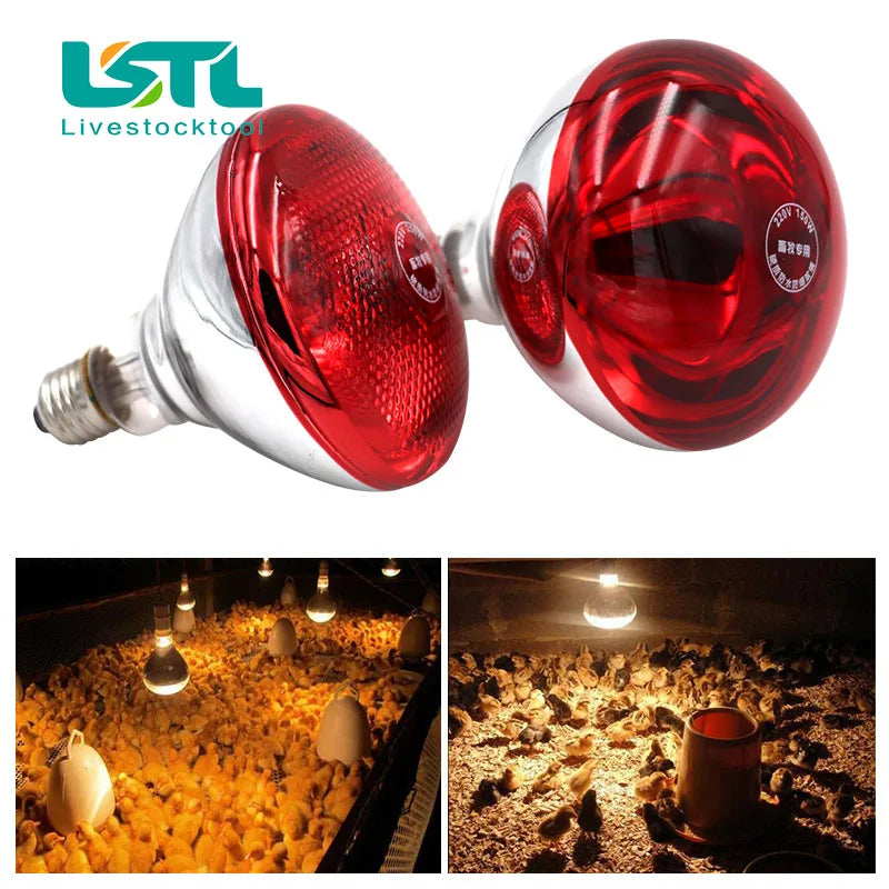 220V Livestock Animals Pet Heating Lamp Bulb Thermal Preservation Heat Infrared Ray for Reptile Amphibian Pet 100/150/200/275W